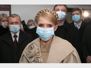 ���������: 