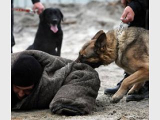 ��� ������ ���������� 