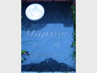 ���������� ������ ��������� ��������� ��� ������ �� ������� �������