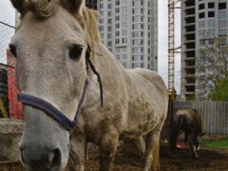 ��������� ��������� �������: � ������ ������ ������� �������