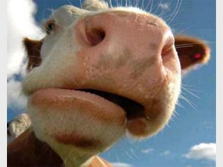 �� ����� ������ �� ���������� ����������� ���������� ������