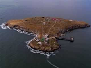 �� ������� ������� ����������� ��������� ��������������� �����