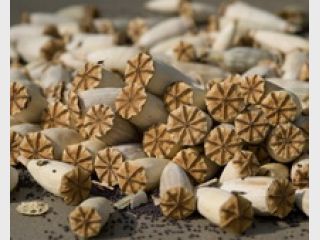 � ������������� ������ 20 �� ������� �������