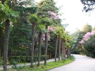 ��� ����������� � ��������� ���������� �������� ������� ����� ����������� ����