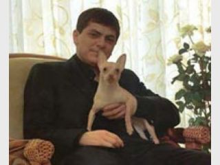 ����������� ������ ������ ������ ���������� ��������� ���� � ����������-��������