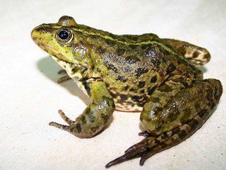 � ������� ����� ��������� �������� �� ��� ������� �������