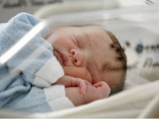 � 1991 ���� ��������� ������� ����������� �� 6 ���������