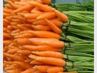 �� ������� ��������� ����������� � ������������ �������