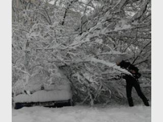 �������� ���� ���������� ����� � �������� �������� �������������