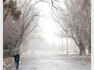 � ������� �������� �������������� � ����������� ����� 169 �������