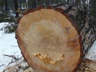 � ��������� � ����� �������� ����� ����� 100-������ �����