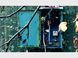 ���������� ���� ������ �������������