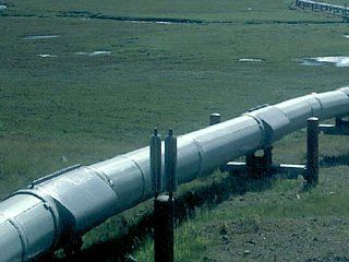 ��� ����� ����� ����� �� ����������