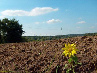 ����� � ������� ������� ����� ������� � ����