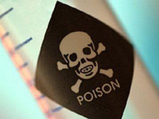 ������: ���������� ����� � 1990-� �������� � ���������� ���� ���������� ������