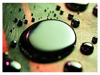 �� ��������� ��������� ������������, ������� ��������� ������. ������ ����� �����