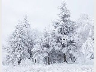 �������� �������� ��������������� 234 ���������� ������ � 10 �������� �������