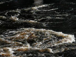 �������� ��� �� ��������?