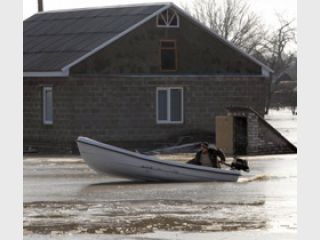 �� ��������� ��������� ���� ���������