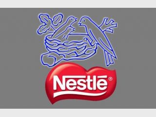 Nestle �������� ������������� ������ 