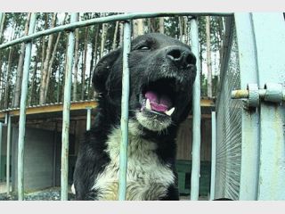 �������� ���������� �� ����� ������������� � ������������