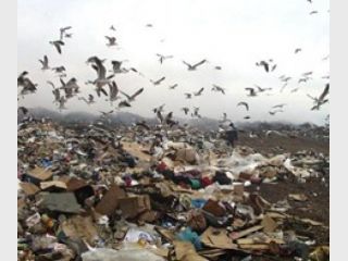 ���������� ������ � ����� ������� ��� ����������������