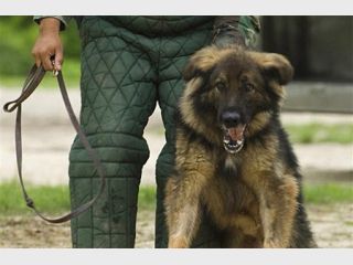 ������ ���� ����� ����� ������ � ������