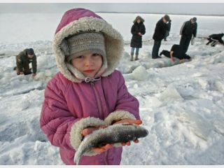 �� �������� ������������� ����������� ������� ���� �� ������