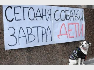 � ������ ����� ������������ �������� ����� 