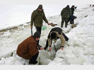 ������� ����������� ������� ������ ���� � �������� ���� 