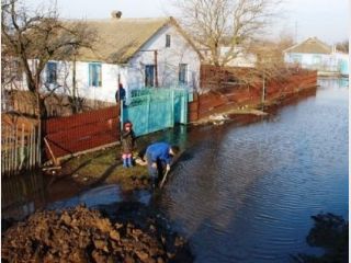 ����� �������� �������� � �������� ����