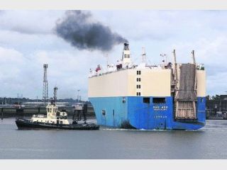 �� Asian Glory ������ 