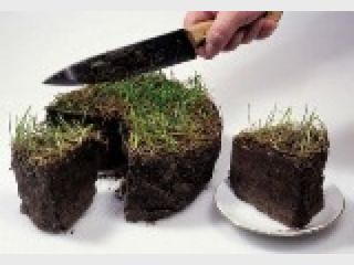 ������ ����������� ��������, ��� �� ����� ������ 