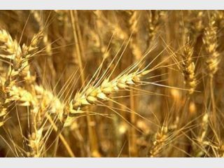 ������� �� ����������� �������� ������ 6 ���. ���� ������� �� ���������� �� 8 ��� ���