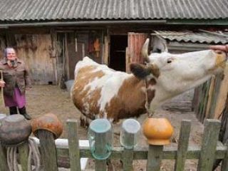 ������� ��� ���, � ��� ��� ���������