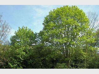 � ������� ����� �������� ��� ���� ���� 