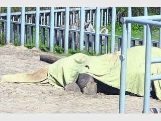 ��������� ����������� ������ �������� ������ ������ ����� ������������