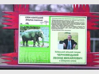 �������� �������� �������, ��� �������� ����� ������������ �����