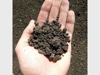 � ������ ���� ����������� �������� 357 ���������� ������� � ������������ ������ �����