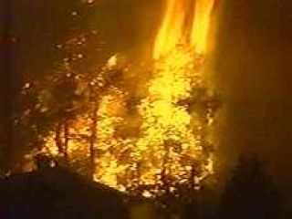 35 �� ���� ���������� ��-�� ������� � ������������ �������