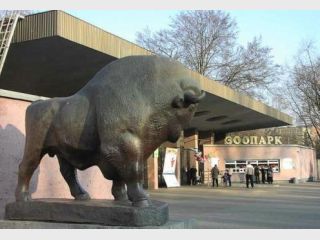 �������� �������: ��� �� ����� ������������ ������ ����� 