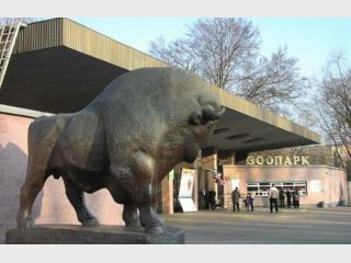 ������� ��������� ������� �� ������ ������������������ ���������