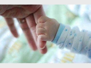  � �������� ������� ��������� �������� ��������������