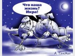 � ����� ����� ������ ���� ��������������, ������� 