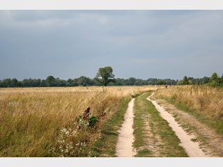 ��� ����� � ����� 200 ��������