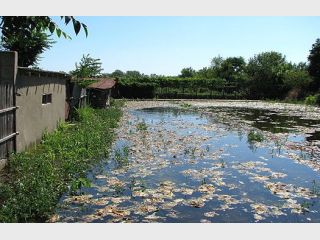 ����� �� ����� ����� �� ��������� ������ ���� 