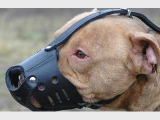 �������� ���������� ��������� ������ �� ����������� ����� 