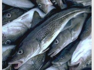 � ��������� ������� � ���� ������� ������� ������ ����