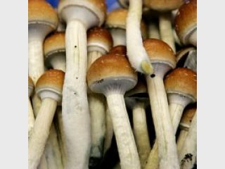 � ������� 64 �������� ���������� �������, ��� ����� ����� ��������� ���������� �������� ����