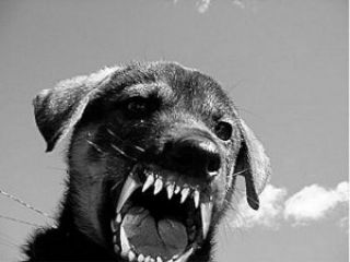 ���������� ������� � �� �������� ������� �������� ���� ����� ���������� ������� ��� ������ � ����������